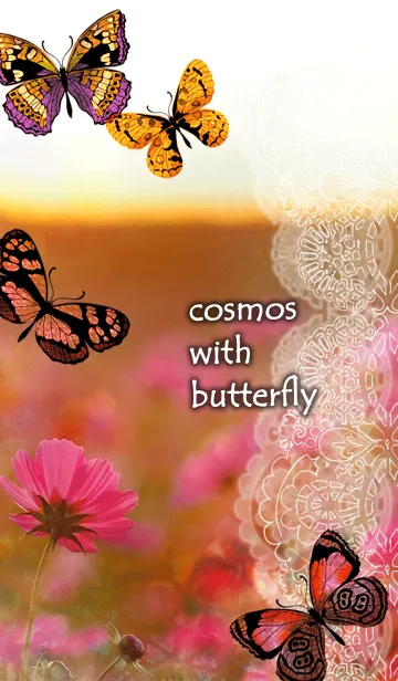 [LINE着せ替え] cosmos with butterflyの画像1