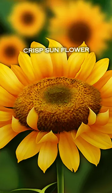 [LINE着せ替え] crisp sun flowerの画像1
