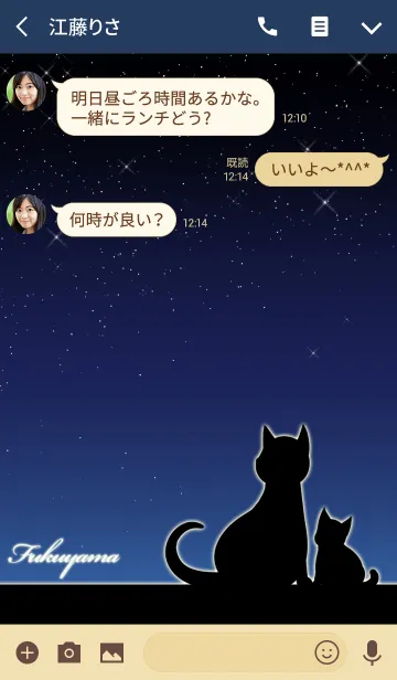 [LINE着せ替え] ふくやま★猫の親子と夜空の画像3