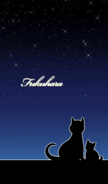 [LINE着せ替え] ふくはら★猫の親子と夜空の画像1