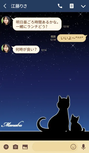 [LINE着せ替え] まなぶ★猫の親子と夜空の画像3