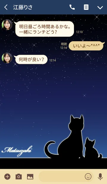 [LINE着せ替え] まつざき★猫の親子と夜空の画像3