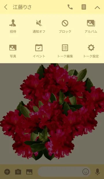 [LINE着せ替え] 石楠花の画像4