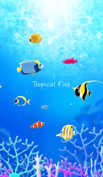 [LINE着せ替え] Tropical Fish #coolの画像1