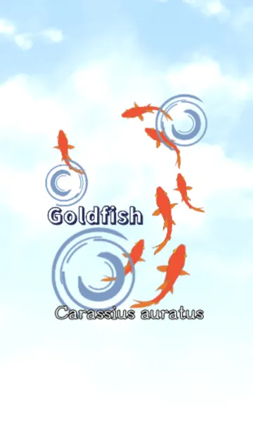 [LINE着せ替え] 金魚 金魚 2 #coolの画像1