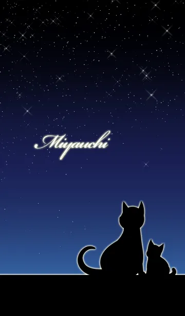 [LINE着せ替え] みやうち★猫の親子と夜空の画像1