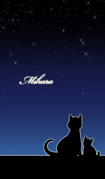 [LINE着せ替え] みはら★猫の親子と夜空の画像1