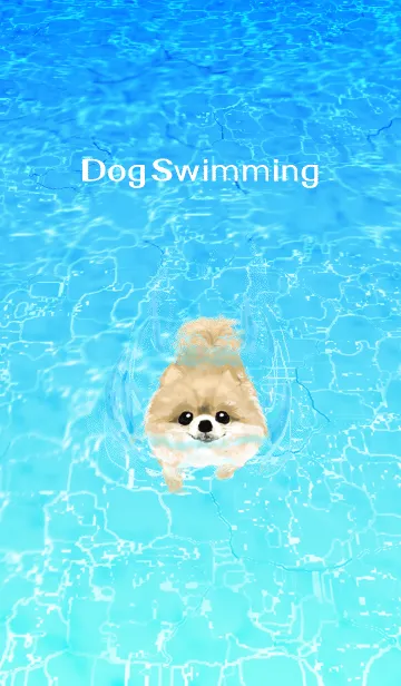 [LINE着せ替え] 泳ぐ犬 : ポメラニアン#coolの画像1