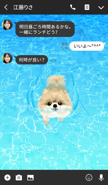 [LINE着せ替え] 泳ぐ犬 : ポメラニアン#coolの画像3
