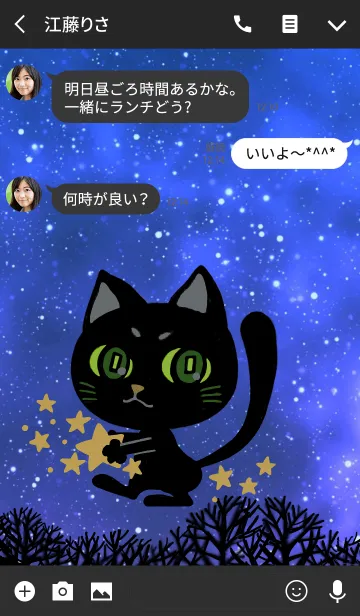 [LINE着せ替え] 星を集める、黒猫ポエタ！の画像3