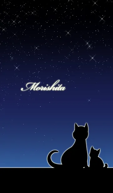 [LINE着せ替え] もりした★猫の親子と夜空の画像1