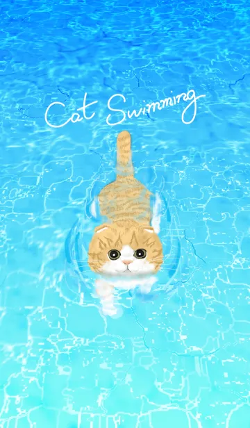 [LINE着せ替え] 泳ぐ猫 : スコテッシュホールド(茶白)#coolの画像1