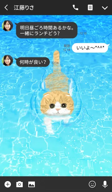 [LINE着せ替え] 泳ぐ猫 : スコテッシュホールド(茶白)#coolの画像3