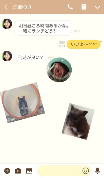 [LINE着せ替え] クロクマハムスター ちょこの画像3