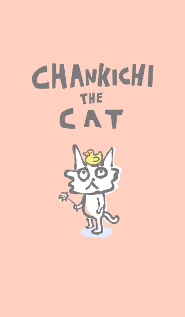 [LINE着せ替え] チャン吉の桃色でウフフな着せ替えの画像1