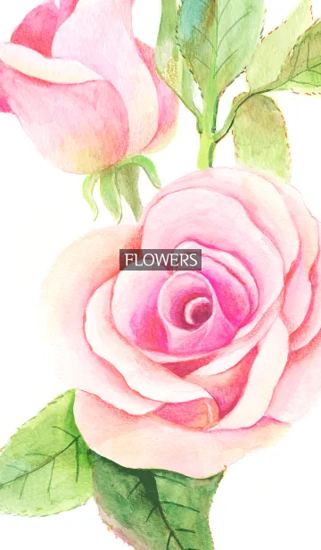 water color flowers_906の着せ替えメイン画像