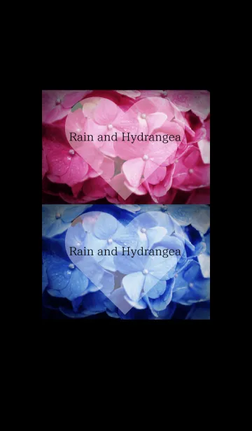 [LINE着せ替え] ～Rain and Hydrangea～ 7 #freshの画像1