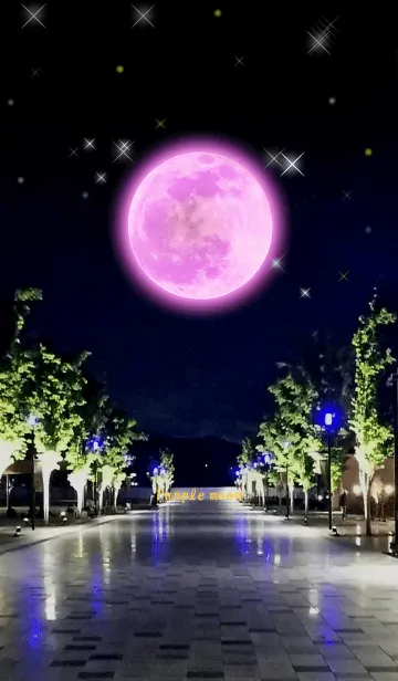 [LINE着せ替え] Full moon power.12(purple moon)の画像1