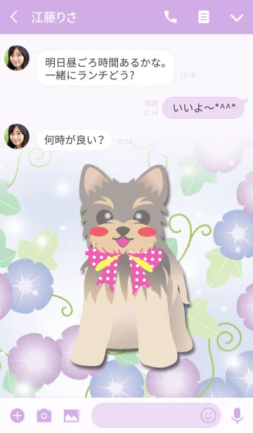 [LINE着せ替え] #cool【ヨークシャーテリア】朝顔の画像3