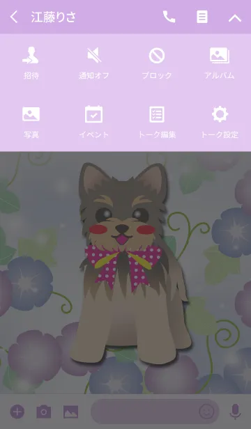 [LINE着せ替え] #cool【ヨークシャーテリア】朝顔の画像4