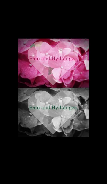 [LINE着せ替え] ～Rain and Hydrangea～ 6 #freshの画像1