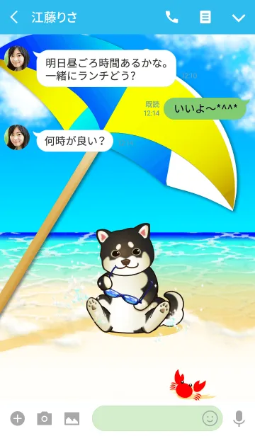 [LINE着せ替え] 柴犬と夏海（黒柴）#coolの画像3