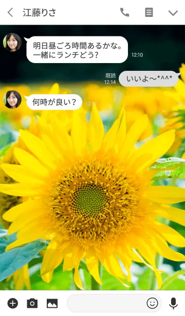 [LINE着せ替え] sunflower fields ver.2の画像3