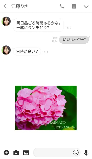 [LINE着せ替え] ～Rain and Hydrangea～ 11 #freshの画像3