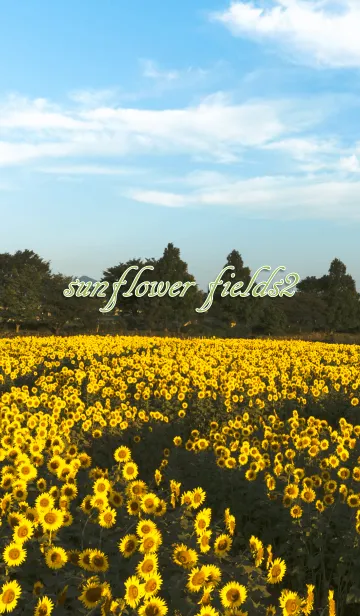 [LINE着せ替え] sunflower fields2 ver.3の画像1