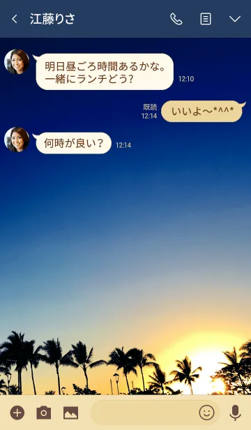 [LINE着せ替え] Palm tree and setting sun #coolの画像3