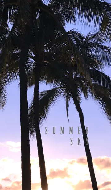 [LINE着せ替え] SUMMER SKY 5 -Palm tree- #coolの画像1