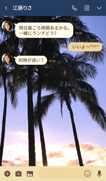 [LINE着せ替え] SUMMER SKY 5 -Palm tree- #coolの画像3