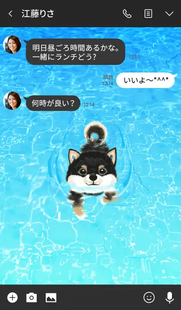 [LINE着せ替え] 泳ぐ犬 : 柴犬（黒柴）#coolの画像3