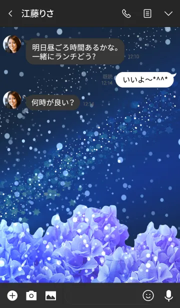 [LINE着せ替え] 煌めく夜空とあじさいの画像3