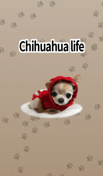 [LINE着せ替え] チワワ的生活 ブラウンの画像1