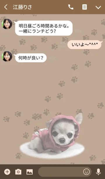 [LINE着せ替え] チワワ的生活 ブラウンの画像3
