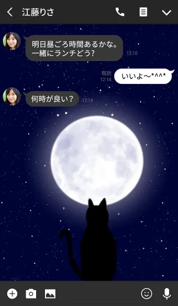 [LINE着せ替え] Cat＆Full moonの画像3