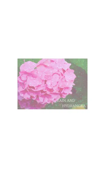 [LINE着せ替え] ～Rain and Hydrangea～ 12 #freshの画像1