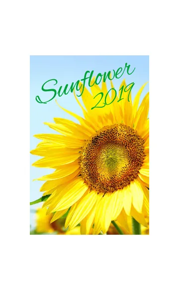 [LINE着せ替え] ＝Sunflower＝ 2の画像1