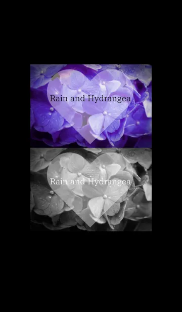 [LINE着せ替え] ～Rain and Hydrangea～ 9 #freshの画像1