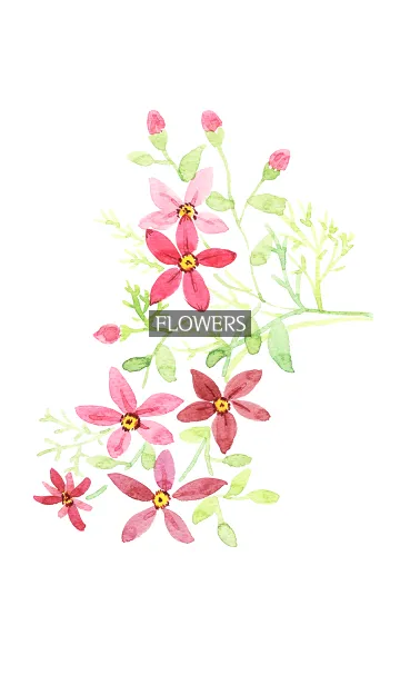 [LINE着せ替え] water color flowers_952の画像1