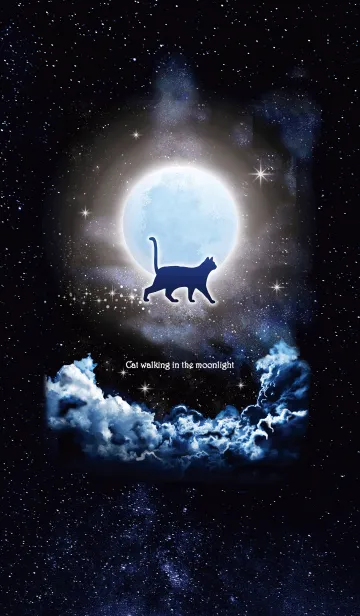 [LINE着せ替え] 月明かりを歩くネコ☆の画像1