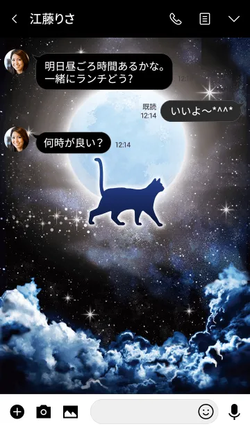 [LINE着せ替え] 月明かりを歩くネコ☆の画像3