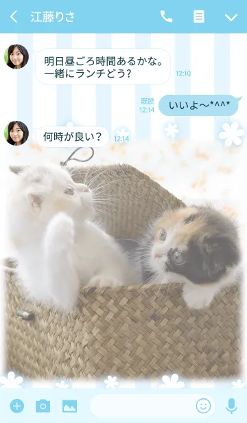 [LINE着せ替え] 癒し子猫♪Cats gardenの画像3
