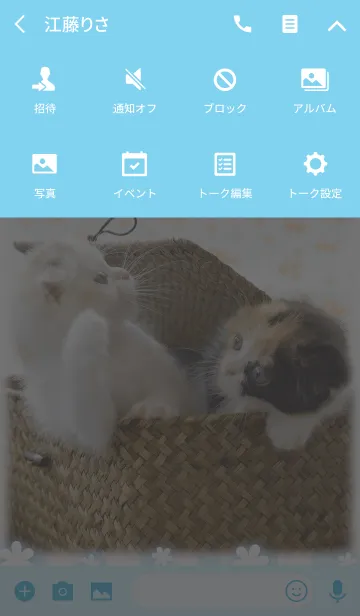 [LINE着せ替え] 癒し子猫♪Cats gardenの画像4