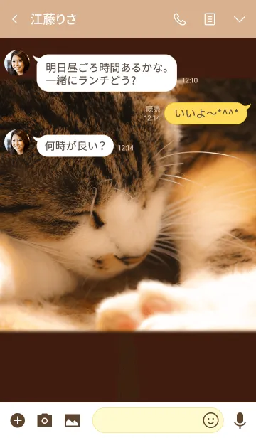 [LINE着せ替え] ねこねんね ver.2の画像3