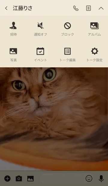 [LINE着せ替え] Cat-My Home-Ver.3の画像4