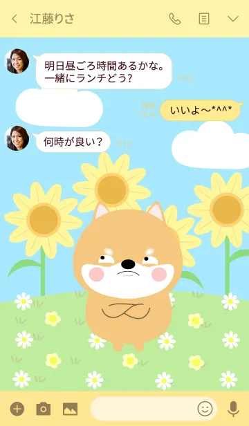 [LINE着せ替え] Happy Shiba Inu DukDik Theme (jp)の画像3