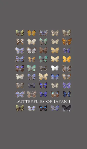 [LINE着せ替え] 日本の蝶 1 ～シジミチョウ～の画像1