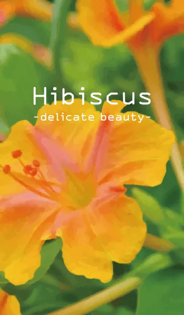 [LINE着せ替え] Hibiscus -delicate beautiful-の画像1